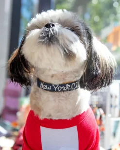 Hand Embroidered "New York City" Dog Collar in Dark Denim (Made in the USA)
