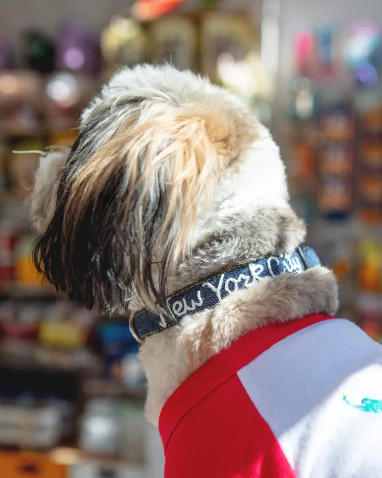 Hand Embroidered "New York City" Dog Collar in Dark Denim (Made in the USA)