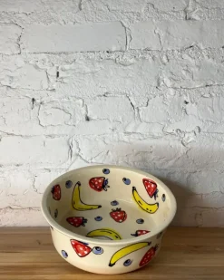 Handmade Ceramic Dog Bowl in Fruit Salad (Made in the USA)