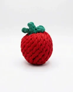 Handmade Tomato Rope Dog Toy