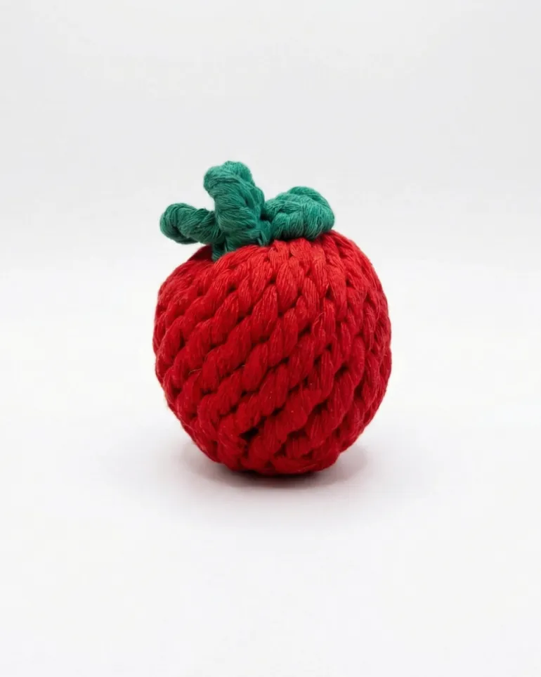 Handmade Tomato Rope Dog Toy