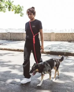 Hands-Free Adjustable Dog Leash