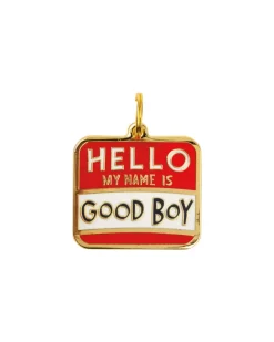 HELLO My Name is Good Boy Collar Charm