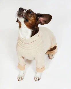 High-Neck Dog Onesie in Beige (FINAL SALE)