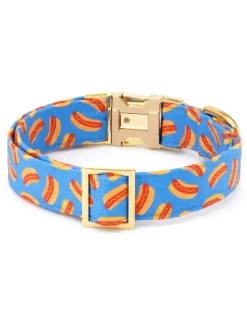 Hot Diggity Dog Collar