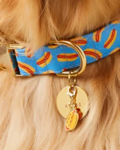 Hot Diggity Dog Collar