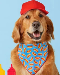 Hot Diggity Dog Tie-On Bandana