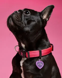 Hushtag Pink Aluminum Heart Custom Pet ID Tag