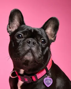 Hushtag Pink Aluminum Heart Custom Pet ID Tag
