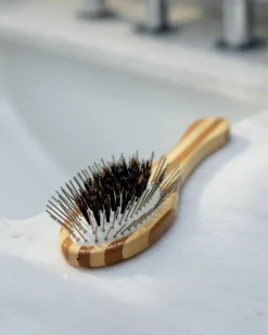 Hybrid Groomer Dog Brush