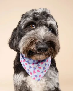 Ice Blocks Cooling Dog Bandana