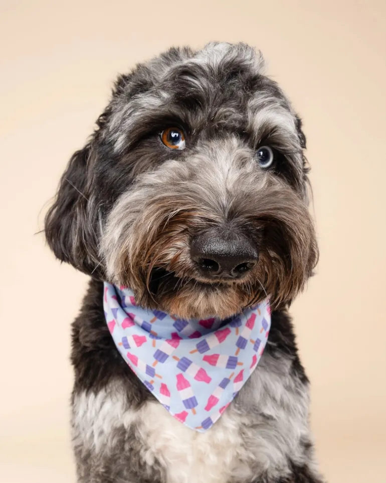 Ice Blocks Cooling Dog Bandana