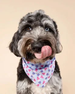Ice Blocks Cooling Dog Bandana