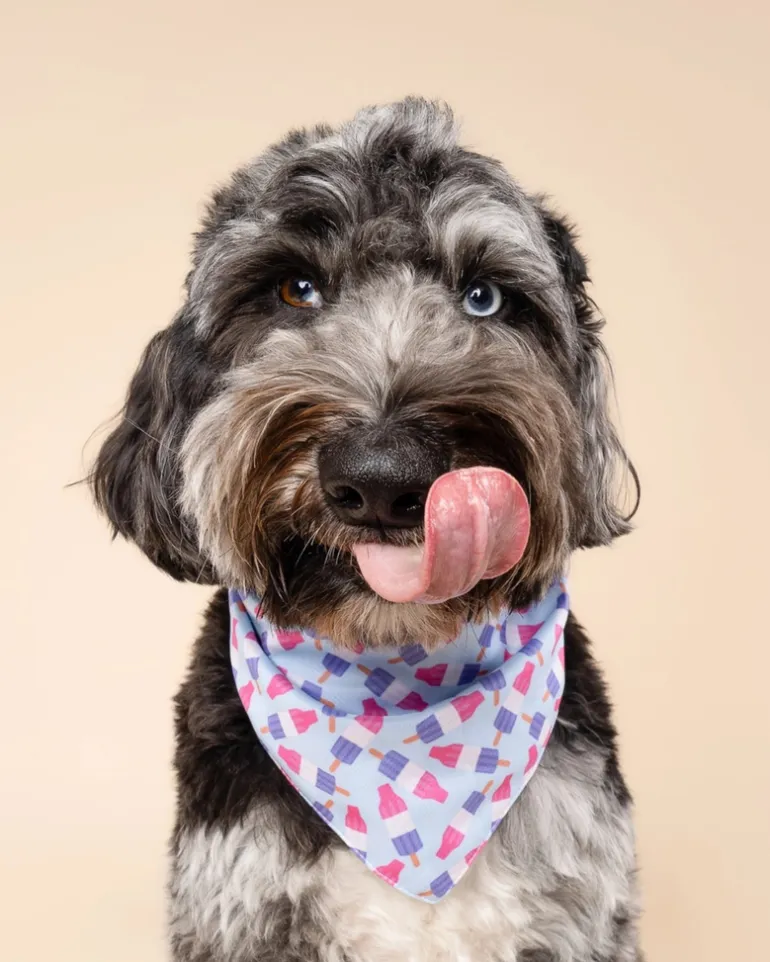 Ice Blocks Cooling Dog Bandana