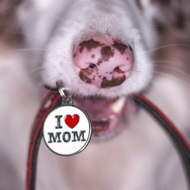I Love Mom Custom Circle Pet ID Tag
