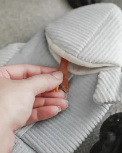 2-IN-1 Burrow + Snuggle Trout Fish Dog Toy