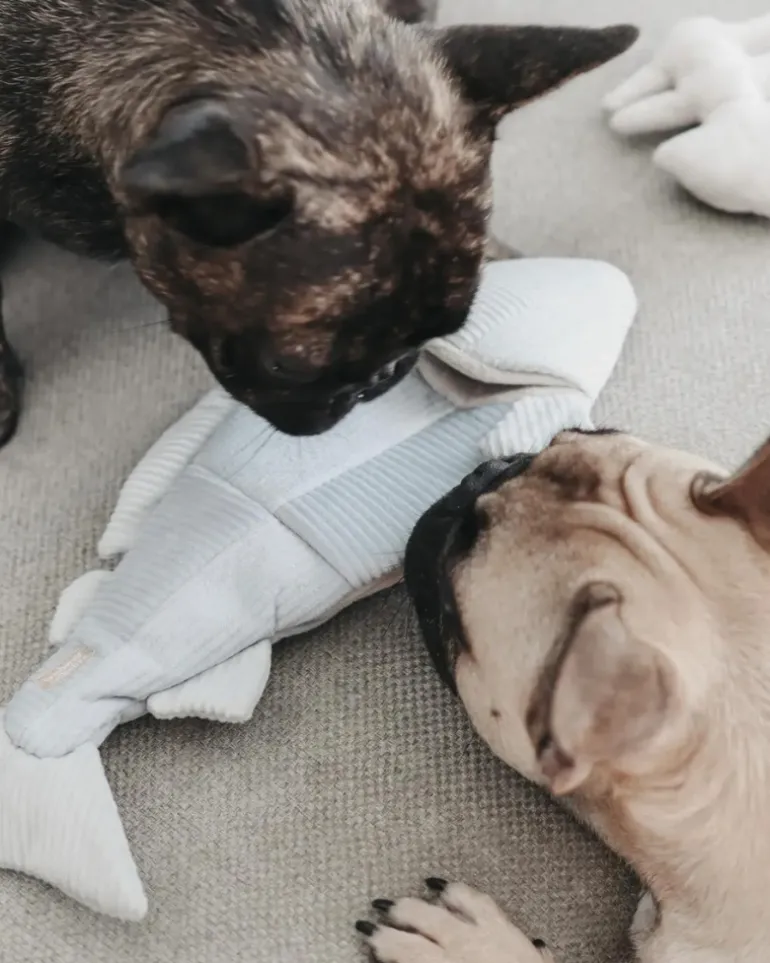 2-IN-1 Burrow + Snuggle Trout Fish Dog Toy