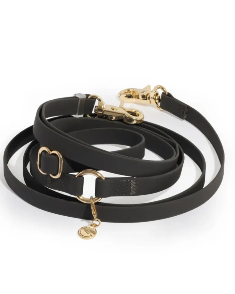4-in-1 Convertible Hands Free Dog Leash in Ember Black