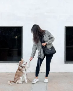 4-in-1 Convertible Hands Free Dog Leash in Ember Black