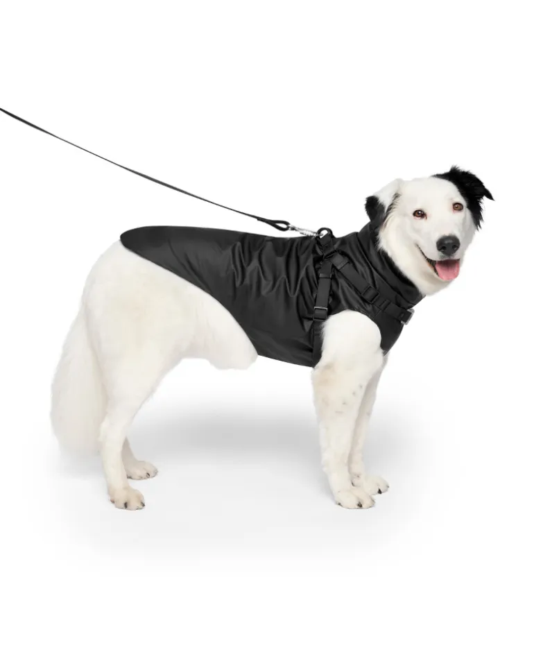 2-In-1 Dog Harness Raincoat in Black
