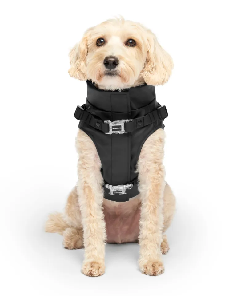 2-In-1 Dog Harness Raincoat in Black