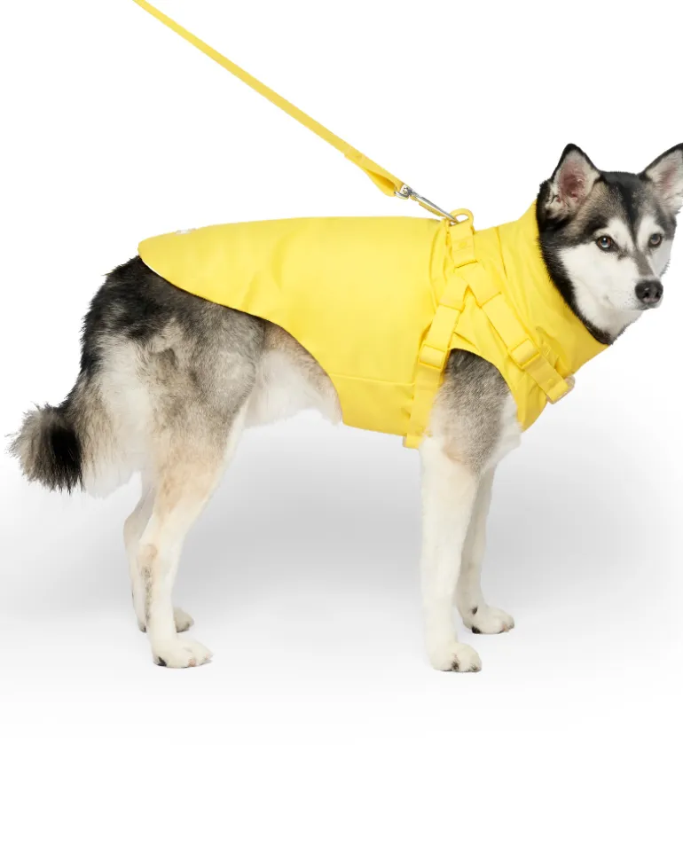 2-In-1 Dog Harness Raincoat in Yellow