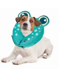 Inflatable Recovery Collar