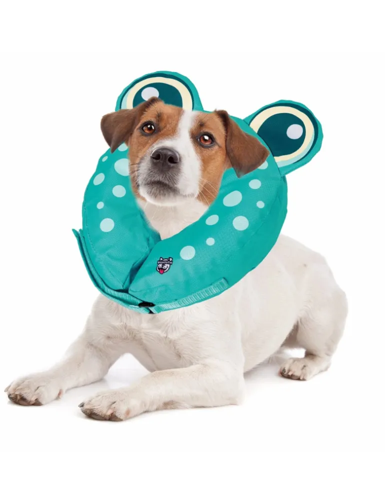 Inflatable Recovery Collar