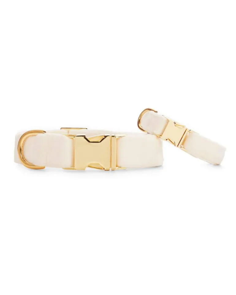 Ivory Velvet Dog Collar (Made in the USA)