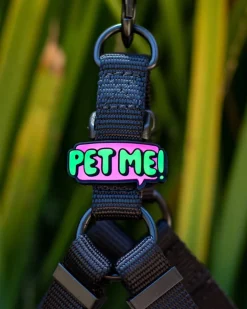 Jiby Silicone Slide On Pet Charms