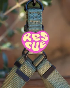 Jiby Silicone Slide On Pet Charms