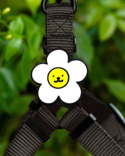 Jiby Silicone Slide On Pet Charms