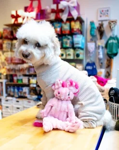 Kiki & Gillie Axolotl X-Brace™ Tough Dog Toys