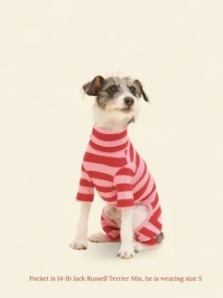 Kiss Me Ribbed Dog Onesie (FINAL SALE)