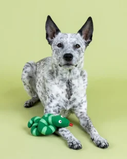 Knotty by Nature Squeaky Latex Dog Toy