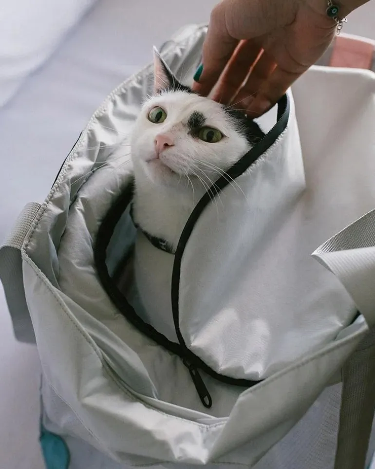 KOMBUCHA Pet Carrier Bag