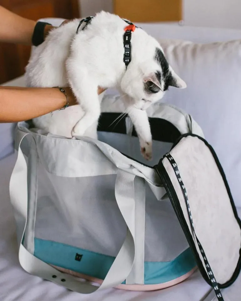 KOMBUCHA Pet Carrier Bag