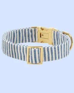 Lake Blue Stripe Dog Collar