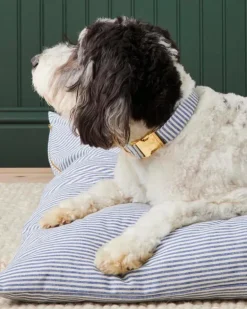 Lake Blue Stripe Dog Collar