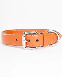 Leather Dog Collar in Orange (Made in Italy)