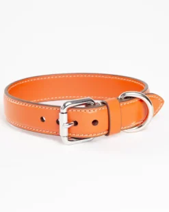 Leather Dog Collar in Orange (Made in Italy)