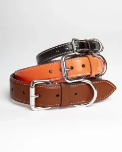Leather Dog Collar in Orange (Made in Italy)