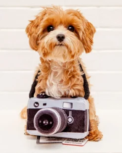 Lens Licker Camera Squeaker Dog Toy