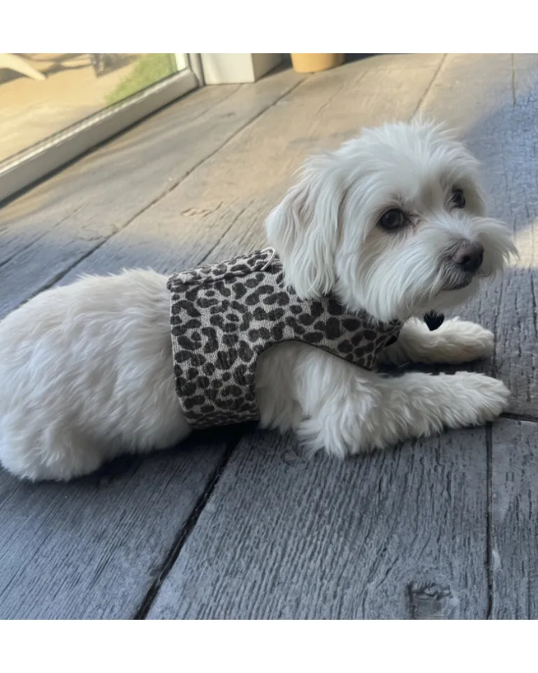 Leopard Print Dog Harness (Made in the USA)