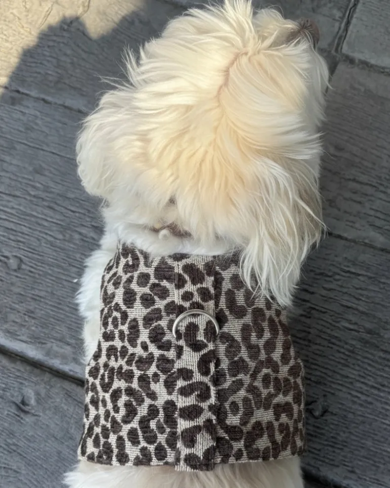Leopard Print Dog Harness (Made in the USA)