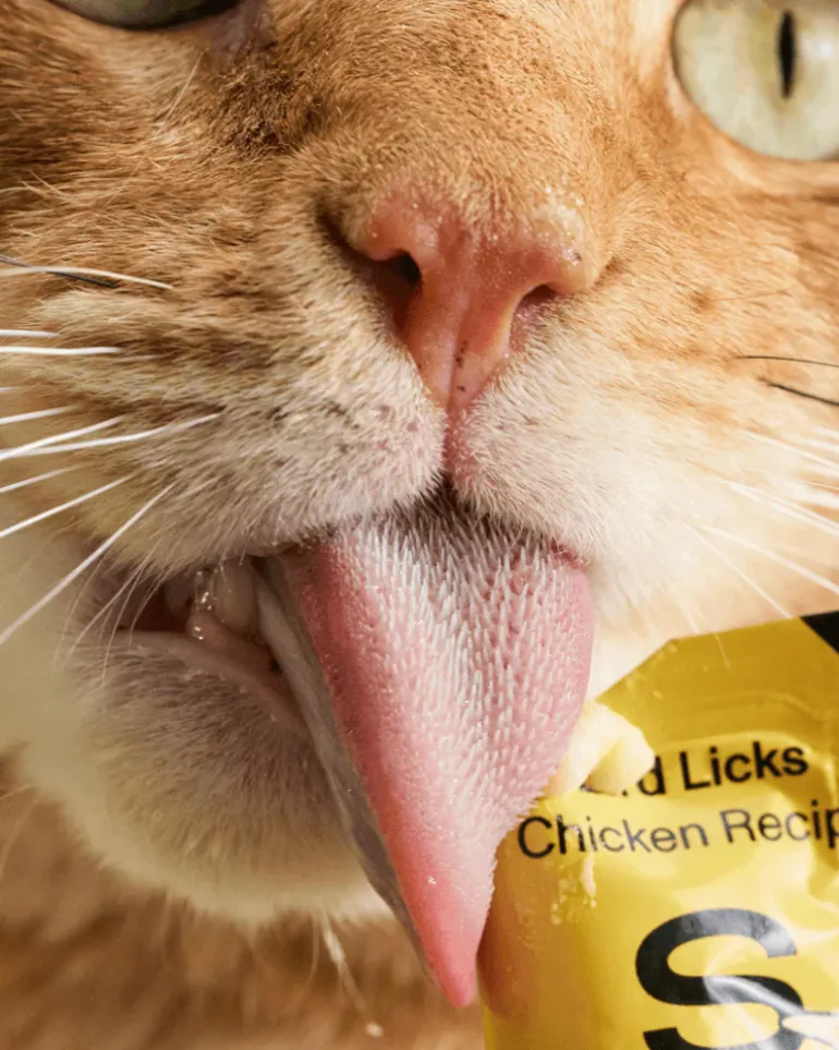 Lickable Pouch Cat Treat (8-Pack)