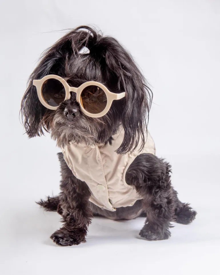 Life Dog Raincoat in Sandstone