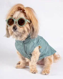 Life Dog Raincoat in Sandstone