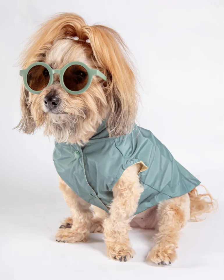 Life Dog Raincoat in Sandstone