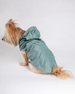 Life Dog Raincoat in Sandstone